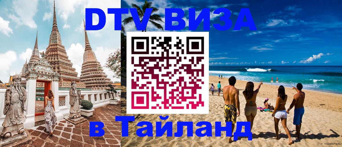 Сколько стоит DTV виза — актуальные цены, оформление даже без документов - 19.11.2025 